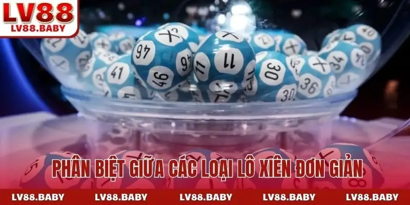 3 đặc điểm phân biệt giữa các loại lô xiên đơn giản